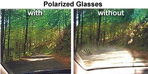 Polarized Lenses